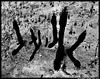 aliensth.jpg (11922 bytes)