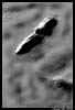 emergesm.jpg (12839 bytes)