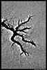 escapesm.jpg (15323 bytes)
