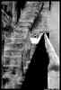 stairsth.jpg (14467 bytes)