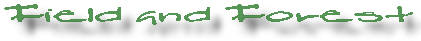 ff.jpg (4897 bytes)