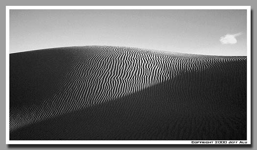 longdune.jpg (95421 bytes)