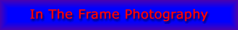 new.gif (7127 bytes)