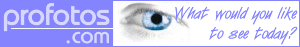 prophotolink.gif (5558 bytes)