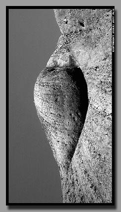 stonewave.jpg (145904 bytes)
